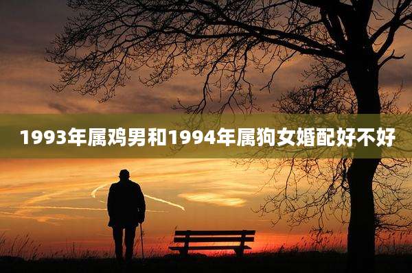 1993年属鸡男和1994年属狗女婚配好不好