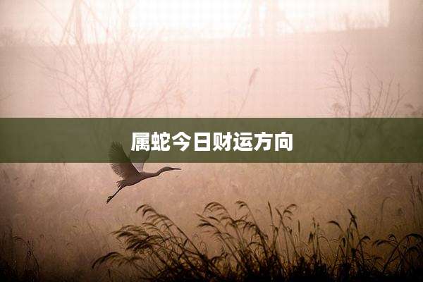 属蛇今日财运方向