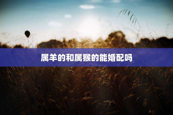 属羊的和属猴的能婚配吗