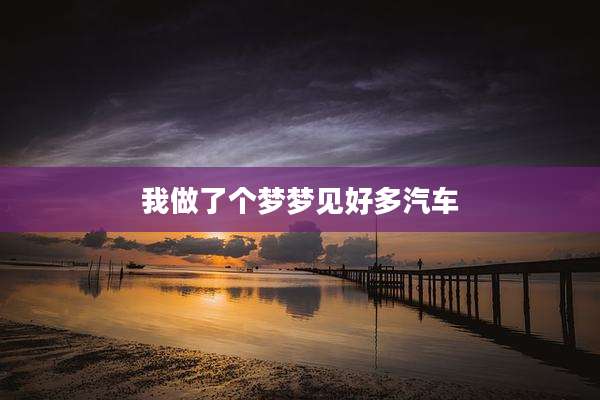 我做了个梦梦见好多汽车