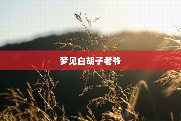 梦见白胡子老爷