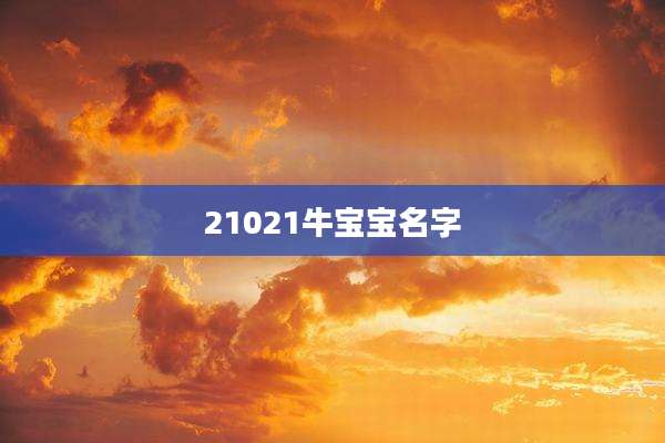 21021牛宝宝名字