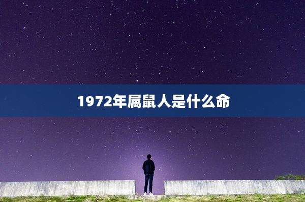 1972年属鼠人是什么命