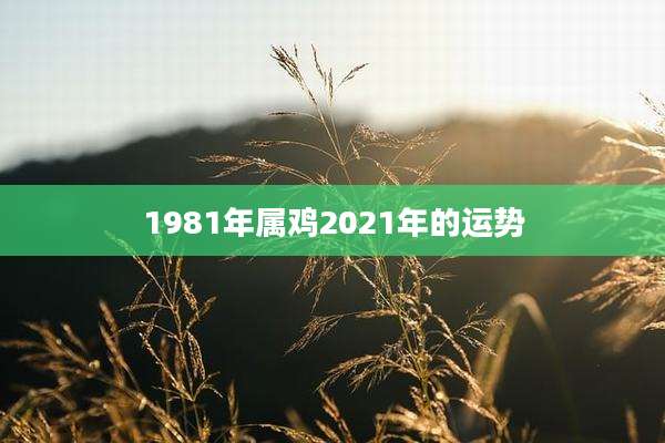 1981年属鸡2021年的运势