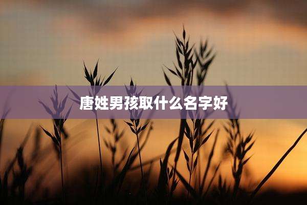 唐姓男孩取什么名字好