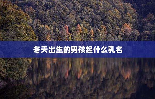冬天出生的男孩起什么乳名