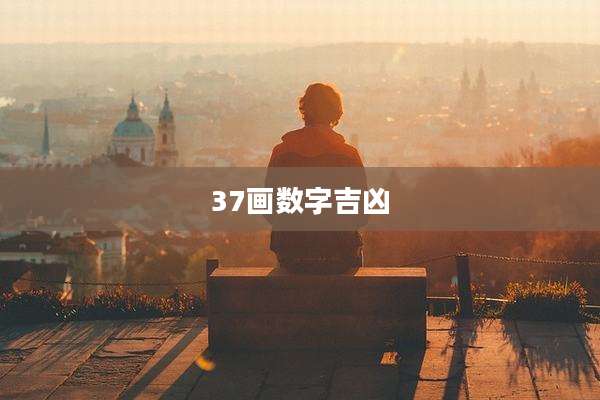 37画数字吉凶