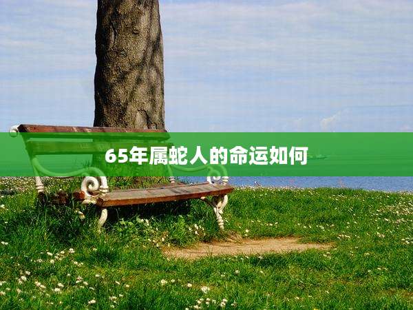 65年属蛇人的命运如何