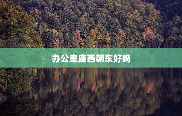 办公室座西朝东好吗