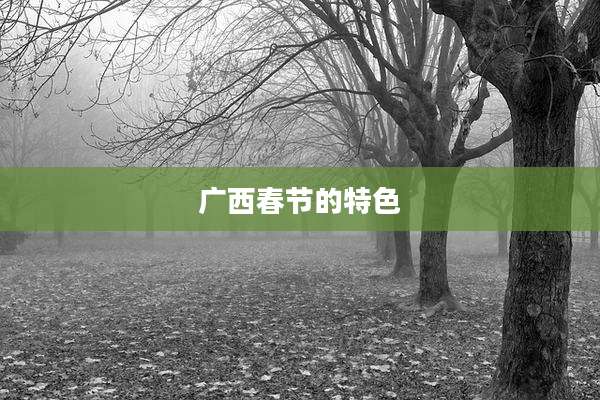 广西春节的特色
