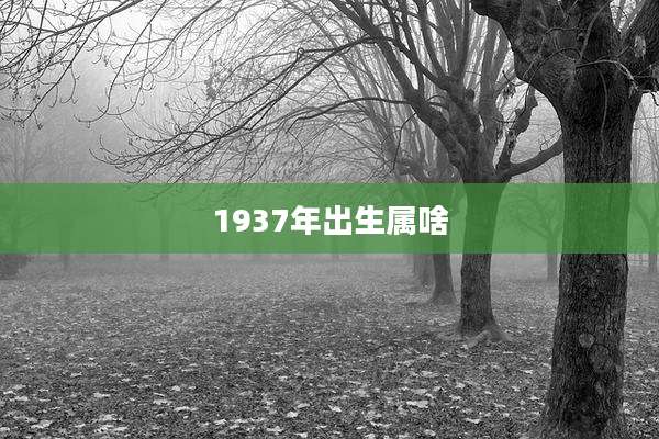 1937年出生属啥