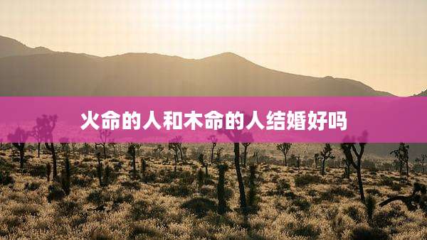 火命的人和木命的人结婚好吗