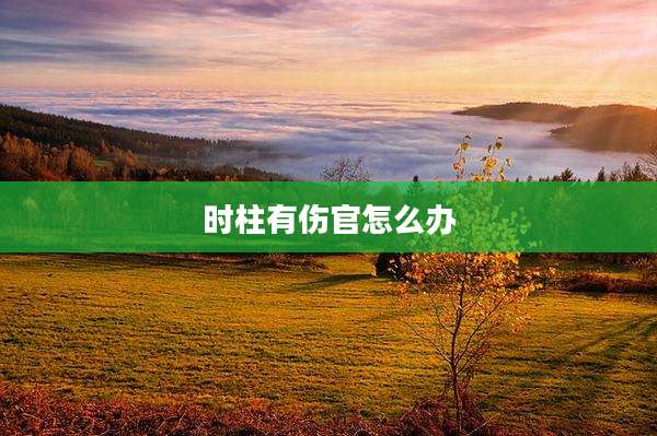 时柱有伤官怎么办