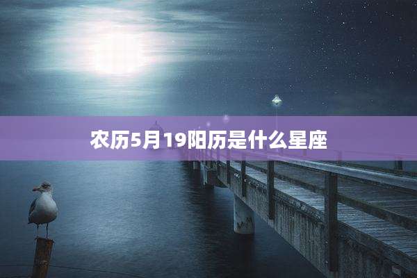 农历5月19阳历是什么星座