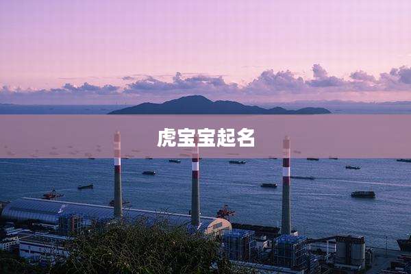 虎宝宝起名