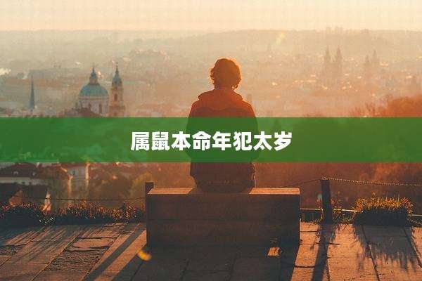 属鼠本命年犯太岁