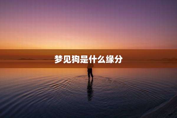 梦见狗是什么缘分
