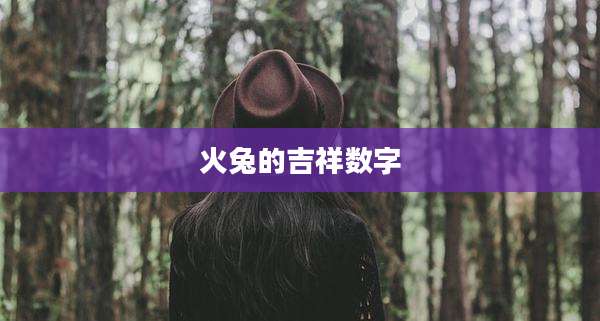 火兔的吉祥数字