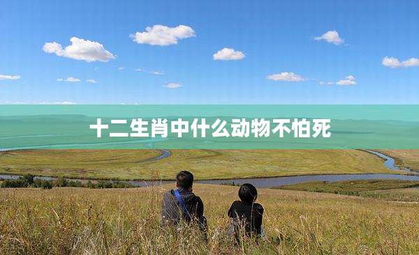 十二生肖中什么动物不怕死