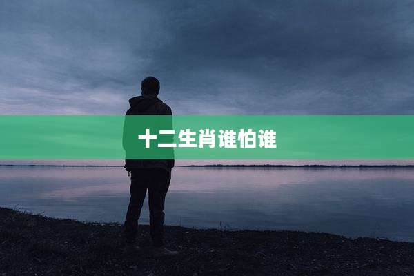 十二生肖谁怕谁