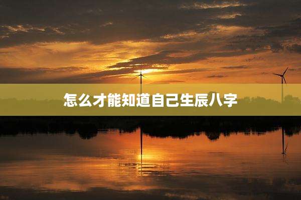 怎么才能知道自己生辰八字