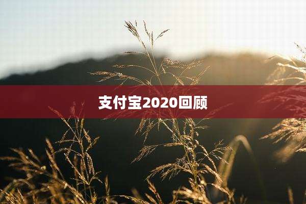 支付宝2020回顾