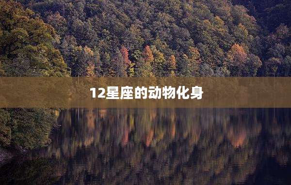 12星座的动物化身