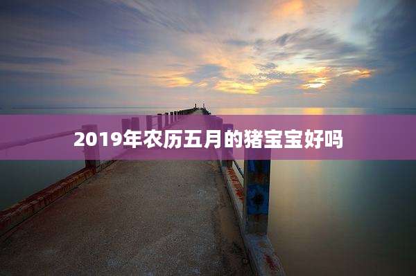 2019年农历五月的猪宝宝好吗