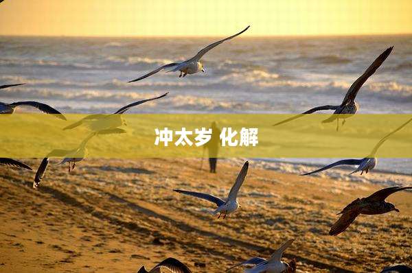 冲太岁 化解