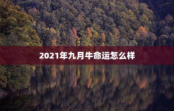 2021年九月牛命运怎么样
