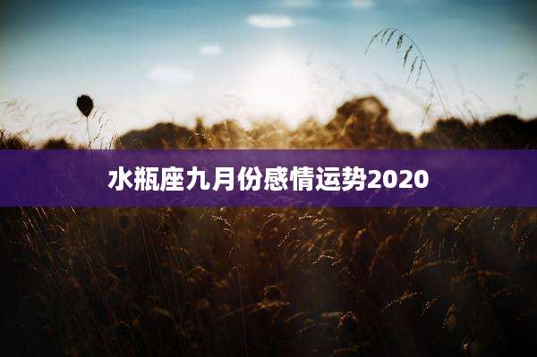 水瓶座九月份感情运势2020