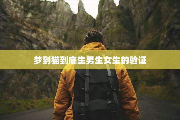 梦到猫到底生男生女生的验证