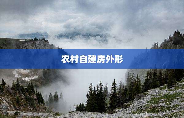 农村自建房外形