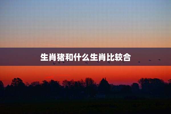 生肖猪和什么生肖比较合