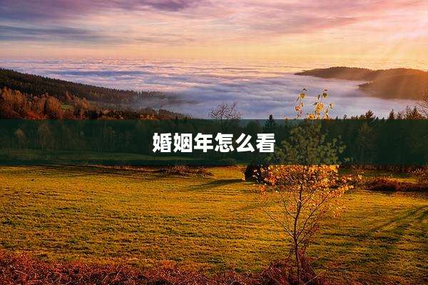 婚姻年怎么看
