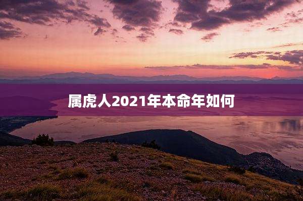 属虎人2021年本命年如何