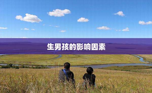 生男孩的影响因素