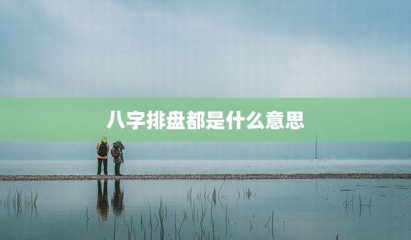 八字排盘都是什么意思