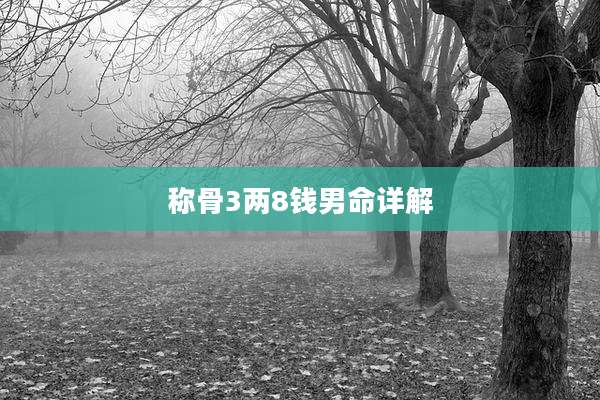 称骨3两8钱男命详解
