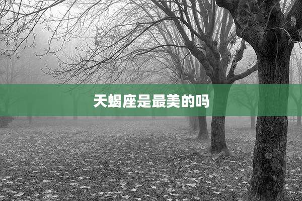 天蝎座是最美的吗