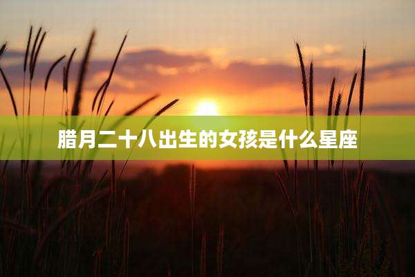 腊月二十八出生的女孩是什么星座
