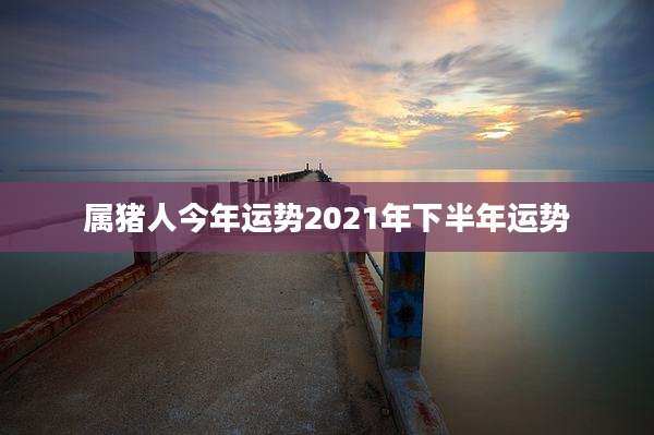 属猪人今年运势2021年下半年运势