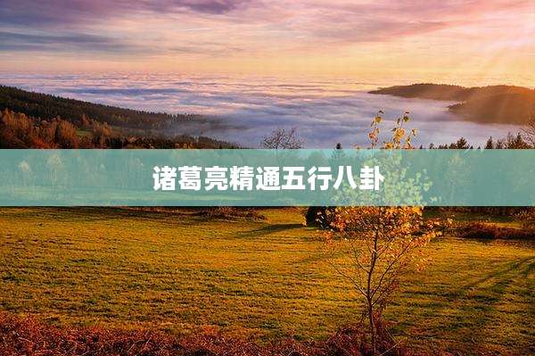 诸葛亮精通五行八卦