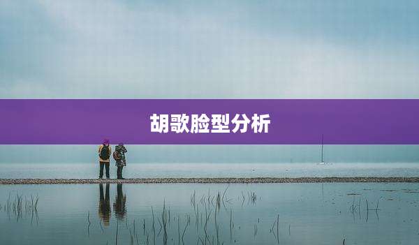 胡歌脸型分析