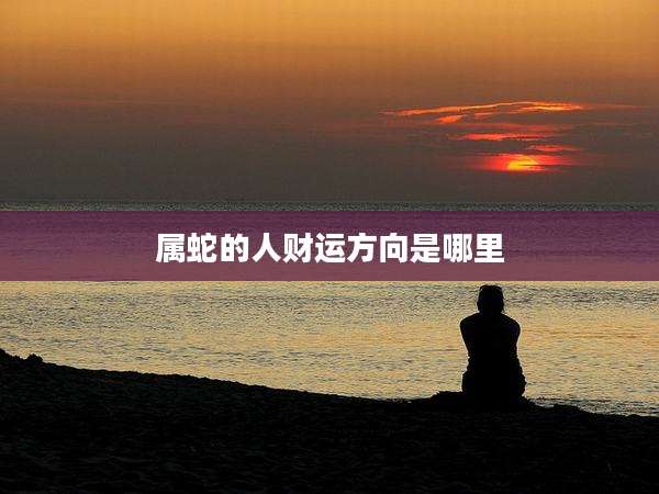 属蛇的人财运方向是哪里