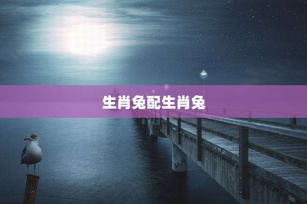 生肖兔配生肖兔