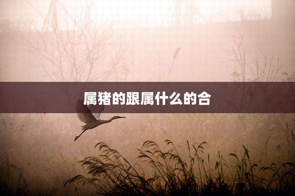 属猪的跟属什么的合