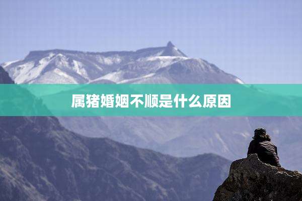 属猪婚姻不顺是什么原因