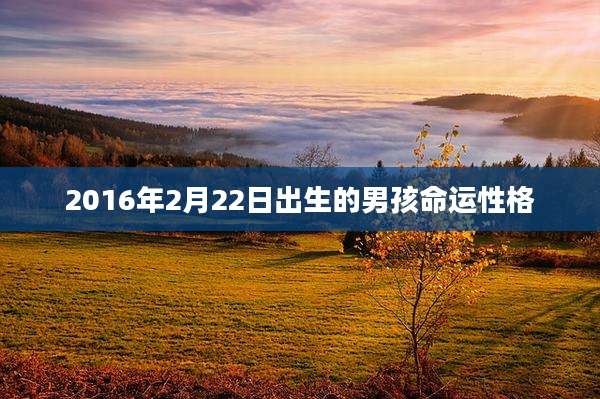 2016年2月22日出生的男孩命运性格