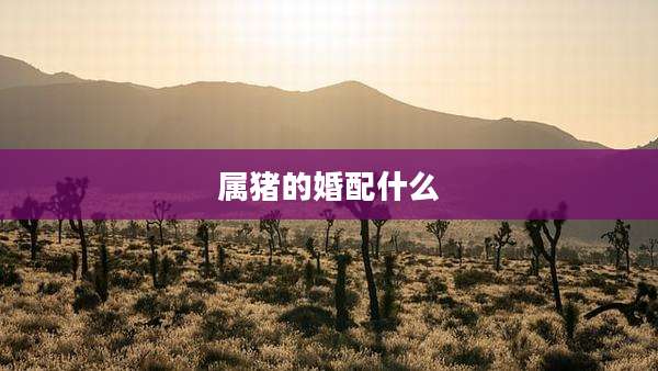 属猪的婚配什么